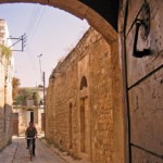 hama backstreets